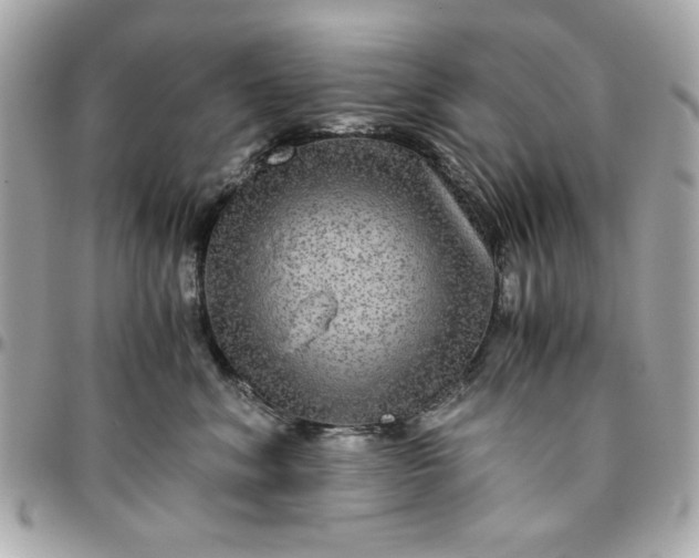 X0000096480620200802071921