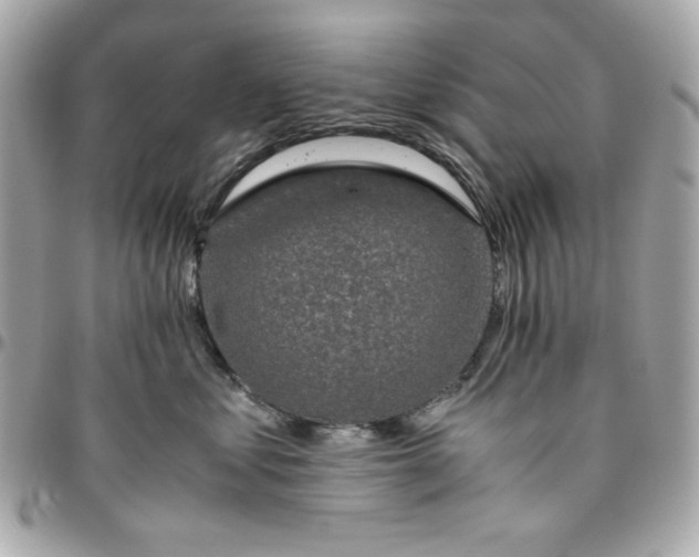 X0000096480621200802071921