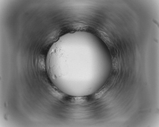 X0000096480622200802071921