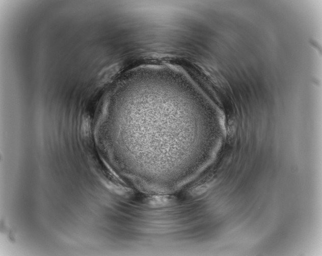 X0000096480623200802071921