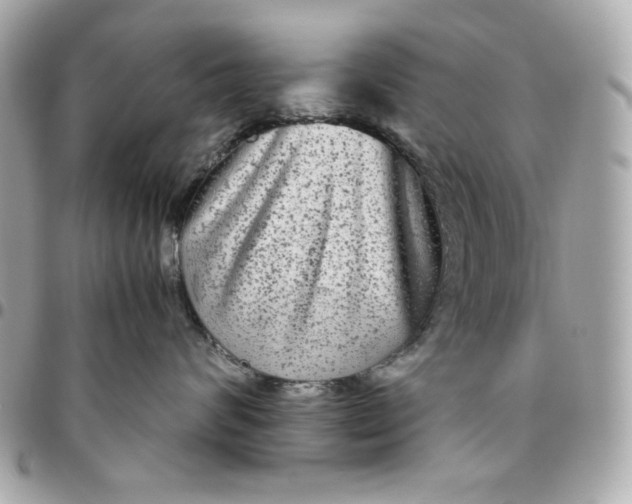 X0000096480624200802071921