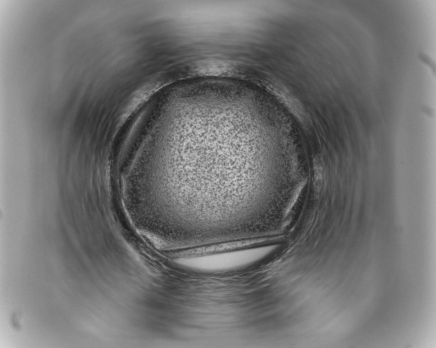 X0000096480626200802071920