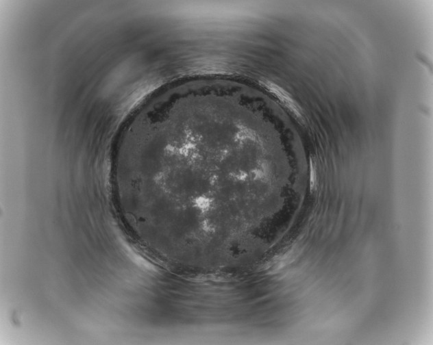 X0000096480627200802071920