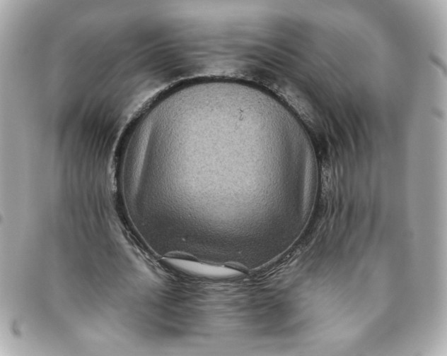 X0000096480628200802071920