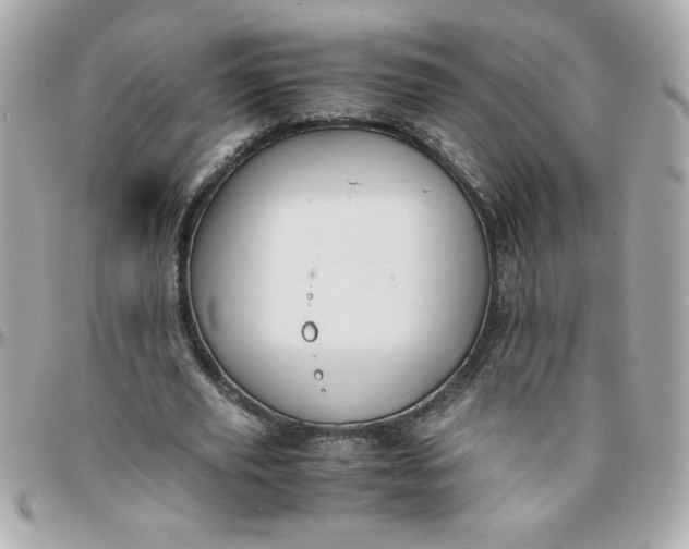 X0000096480629200802071920