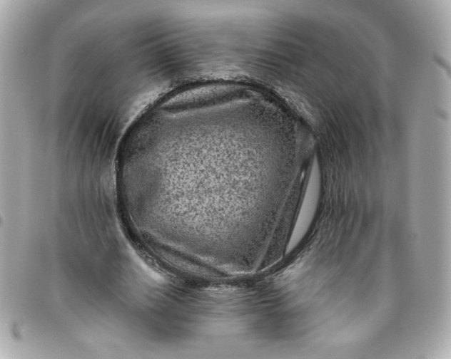 X0000096480630200802071920