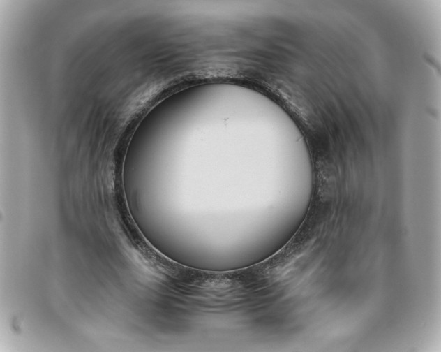 X0000096480631200802071920