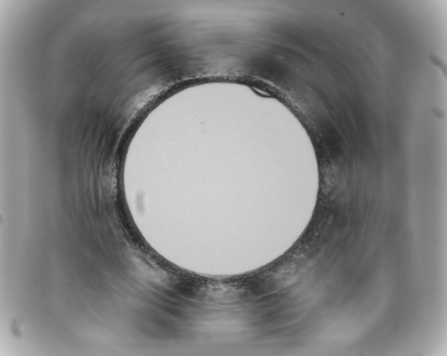 X0000096480632200802071920