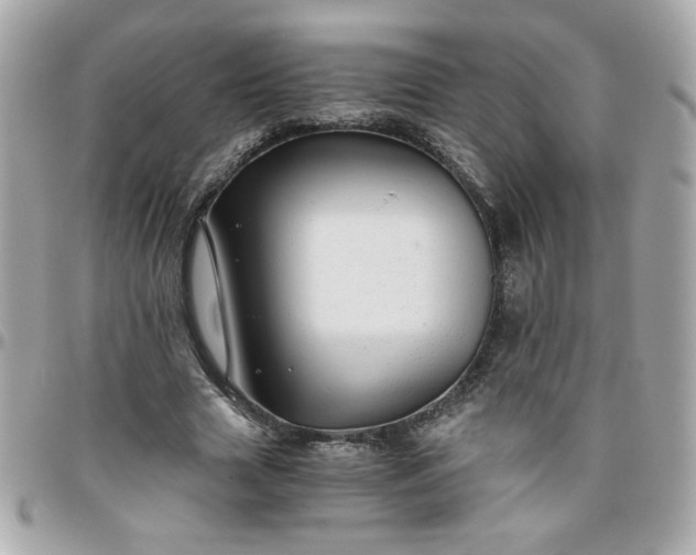 X0000096480633200802071920