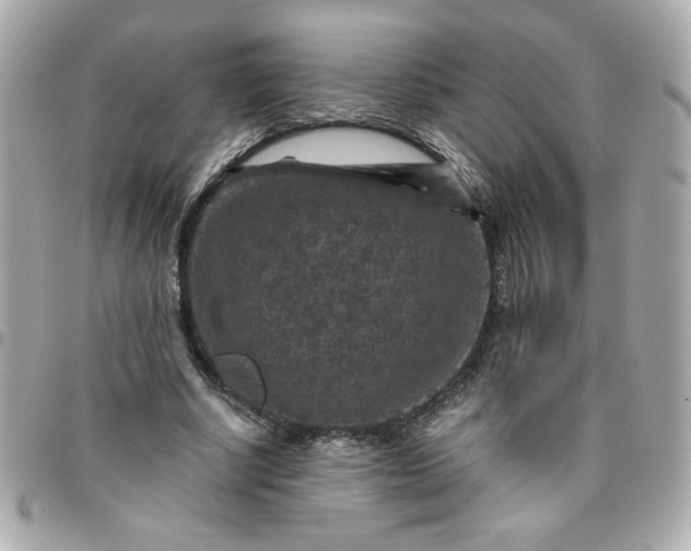 X0000096480634200802071920