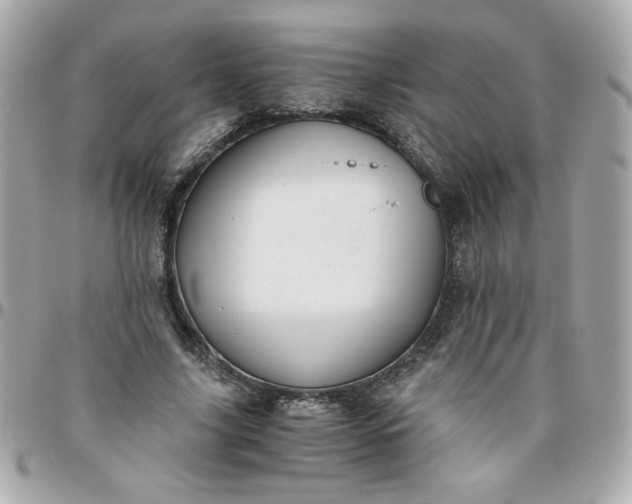 X0000096480635200802071920