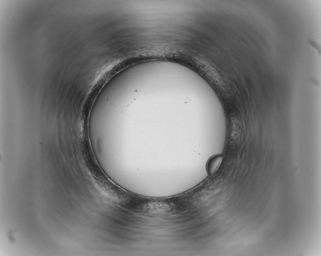 X0000096480636200802071921