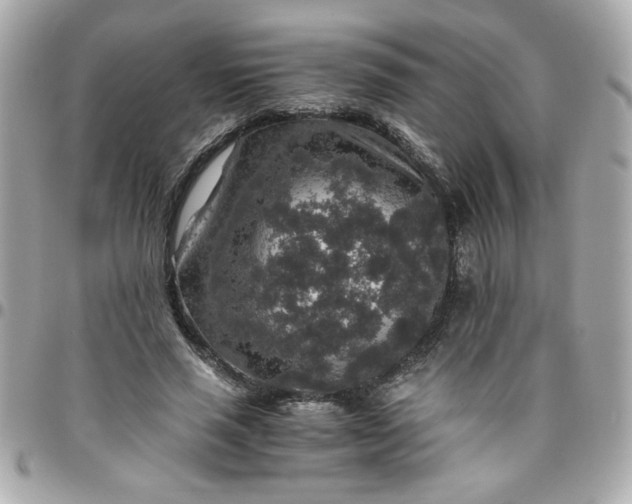 X0000096480637200802071921