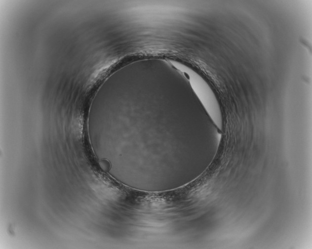 X0000096480640200802071921