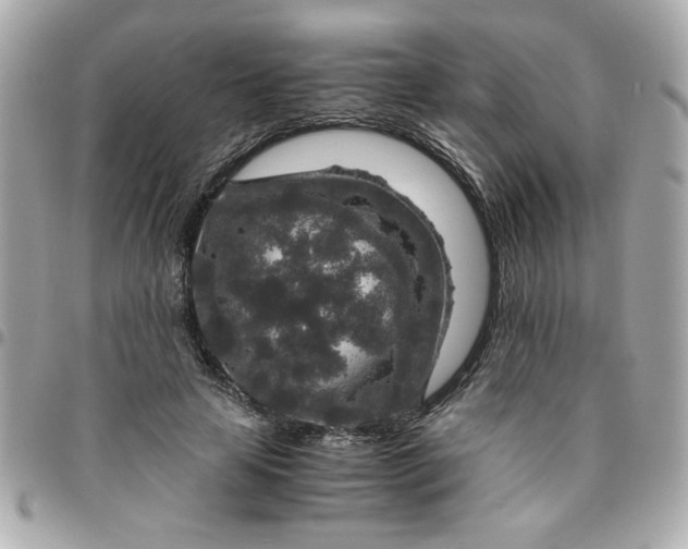 X0000096480641200802071921