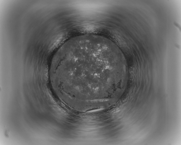 X0000096480642200802071921