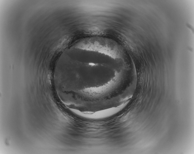 X0000096480643200802071921