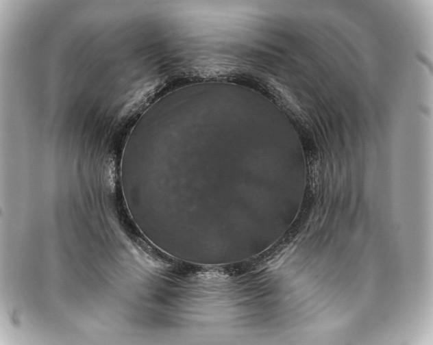 X0000096480644200802071921