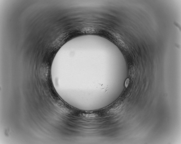 X0000096480645200802071921