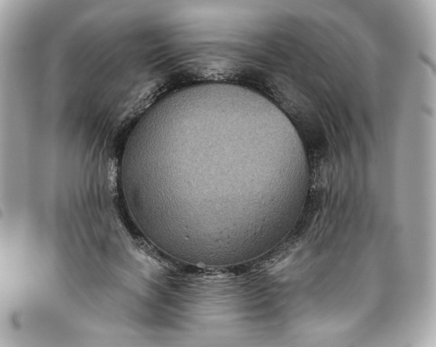 X0000096480646200802071921