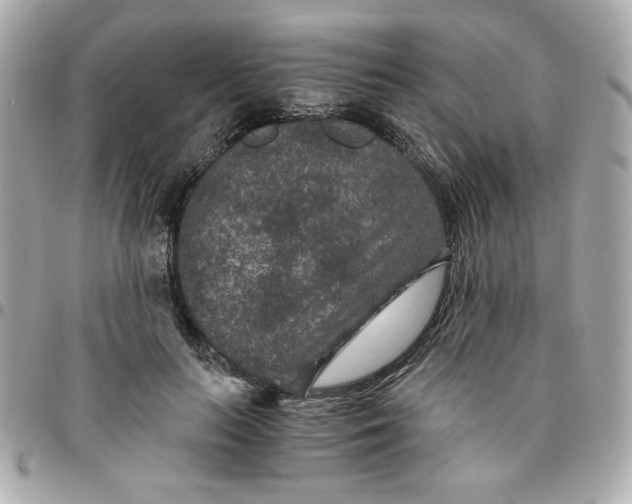 X0000096480647200802071921