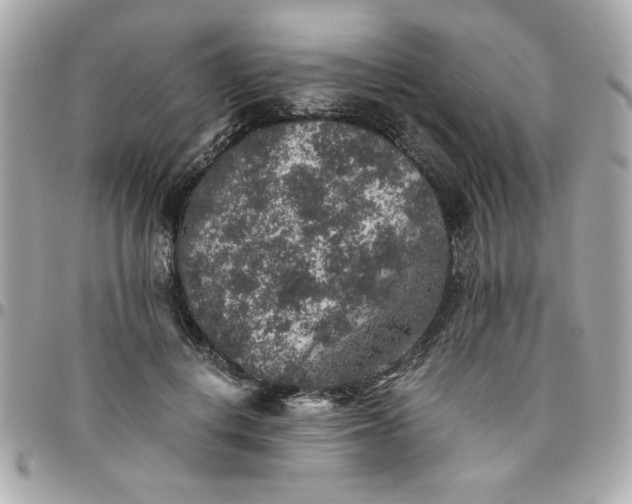 X0000096480648200802071921