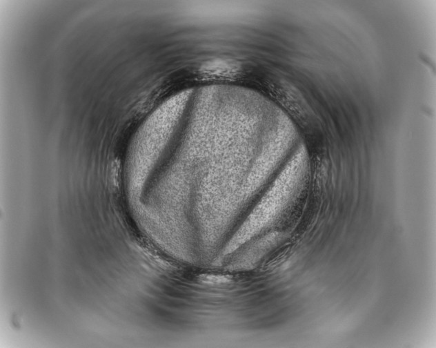 X0000096480649200802071921