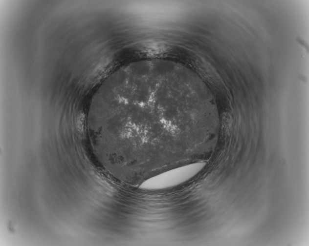 X0000096480650200802071921