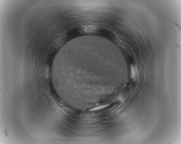 X0000096480651200802071921