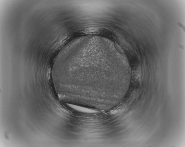 X0000096480652200802071921