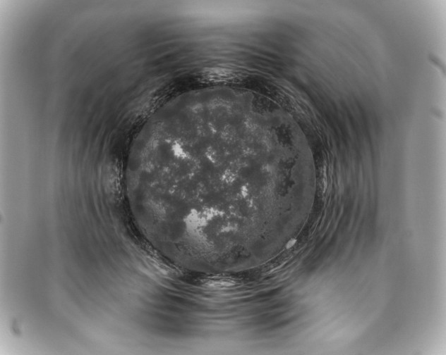 X0000096480653200802071921