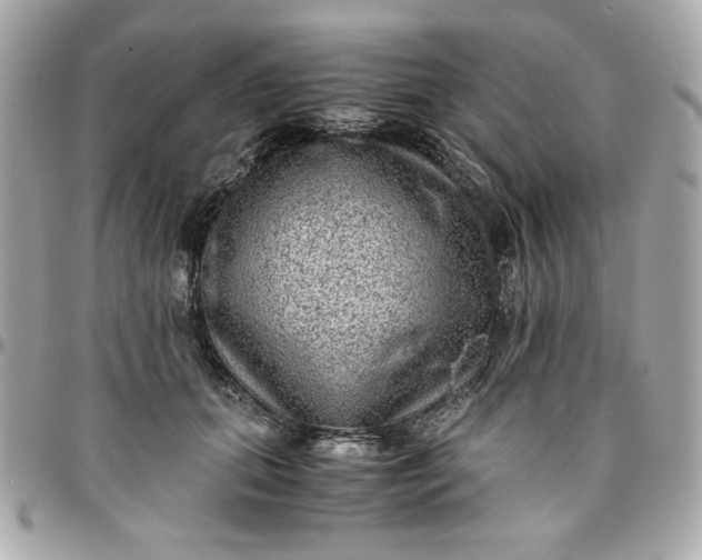 X0000096480655200802071921