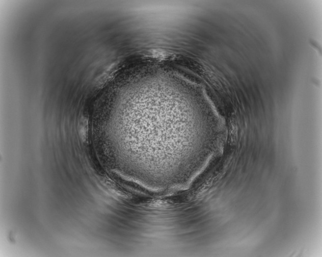 X0000096480656200802071921