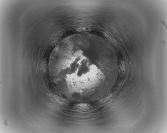 X0000096480659200802071921