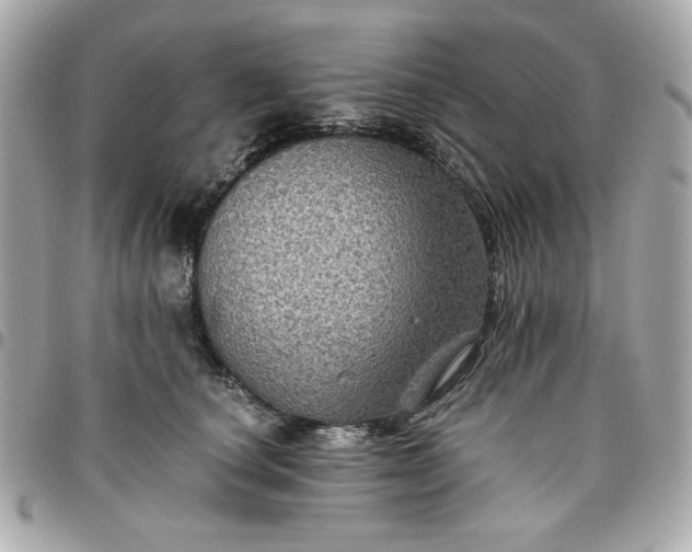 X0000096480660200802071921