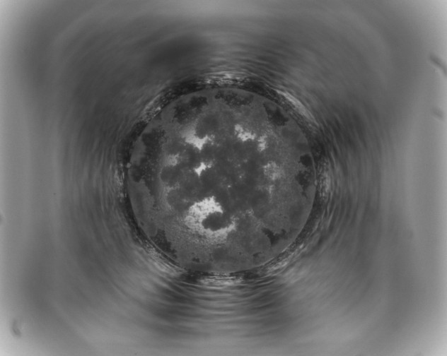 X0000096480661200802071921