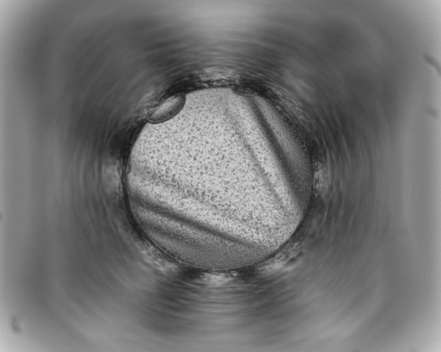 X0000096480662200802071921