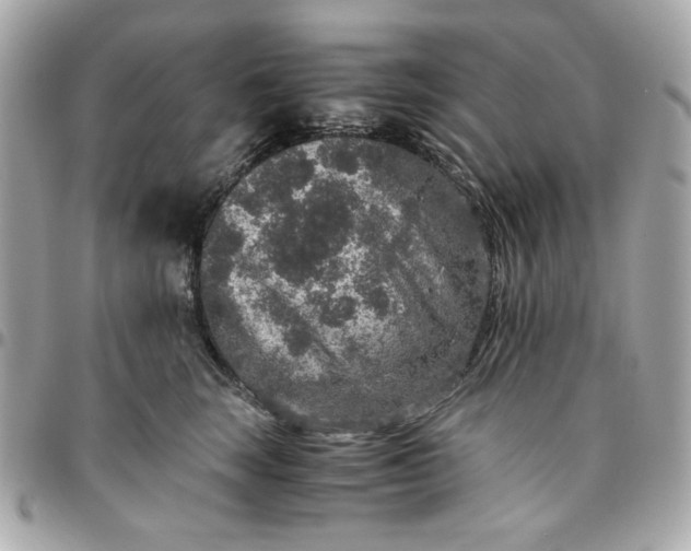 X0000096480663200802071921