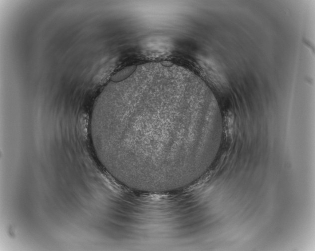 X0000096480664200802071921