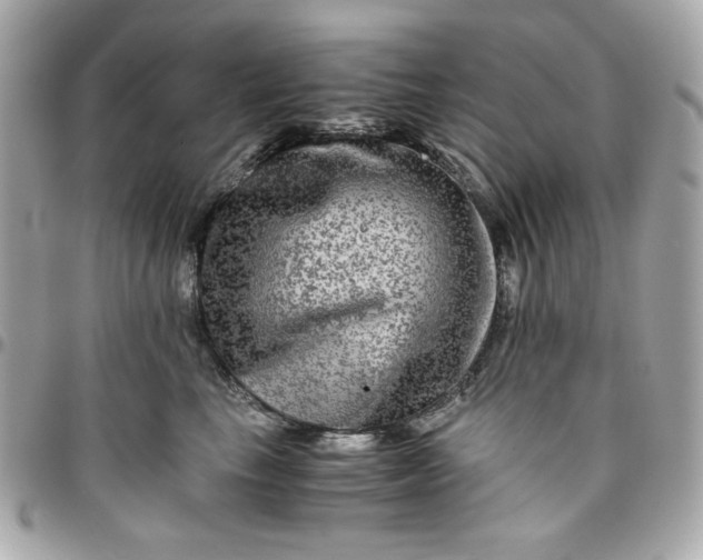 X0000096480665200802071921