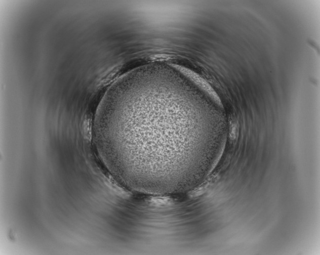 X0000096480666200802071921