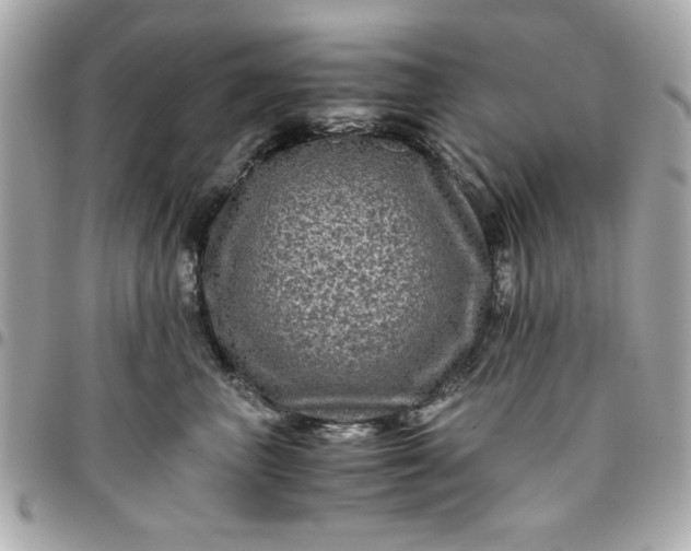 X0000096480667200802071921