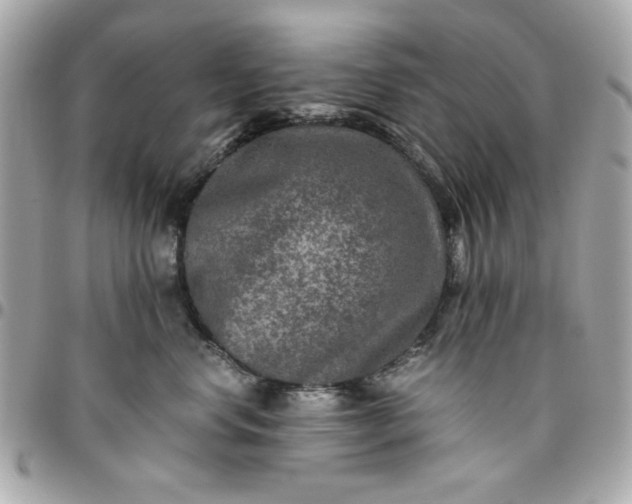 X0000096480668200802071921