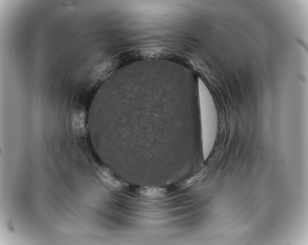 X0000096480670200802071921