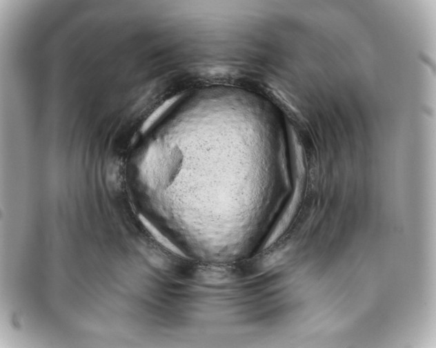 X0000096480671200802071921