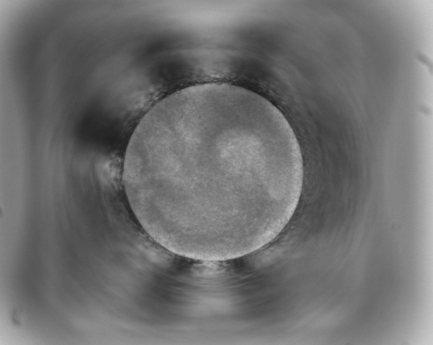 X0000096480672200802071921