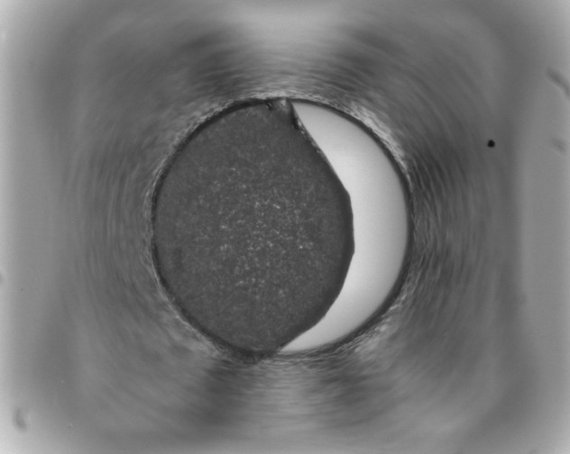 X0000096480673200802071920