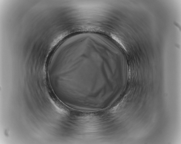 X0000096480674200802071920