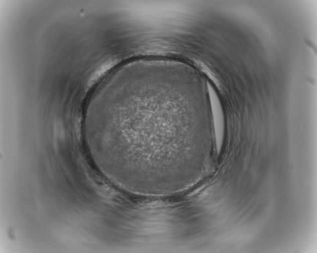 X0000096480675200802071920