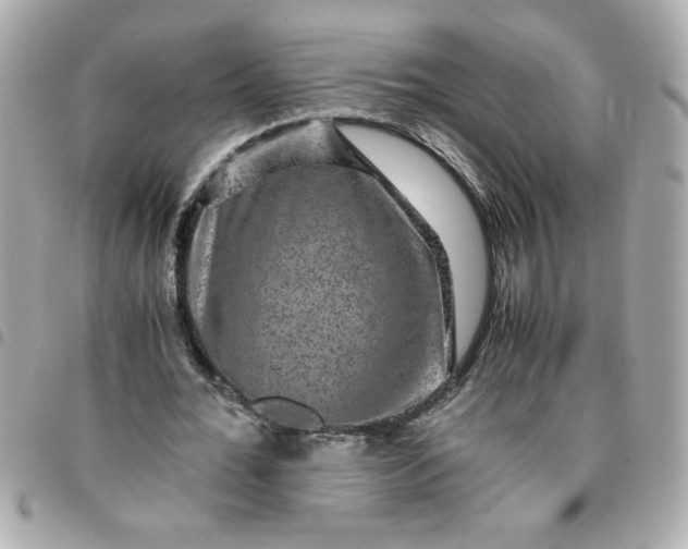 X0000096480676200802071920